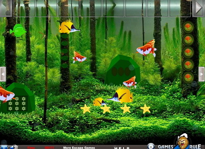 Прохождение игры flower horn fish escape