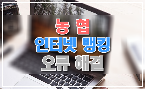 농협 인터넷뱅킹 오류해결, 이것만 설정하면 된다! :: 전산쟁이