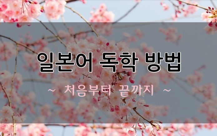 일본어 독학 방법