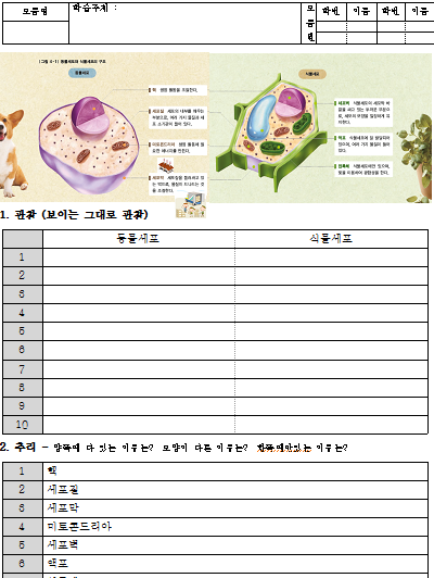 식물세포와 동물세포 관찰 추리 학습지