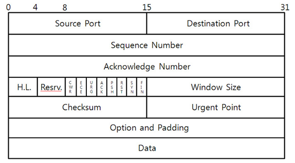 TCP 구조