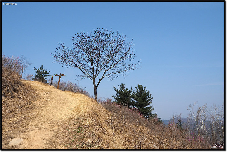 좋은 습관 :: 대구 와룡산