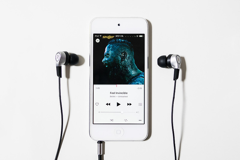 H3 by B&O PLAY HSS-F800 イヤホンLG s-l1200.jpg