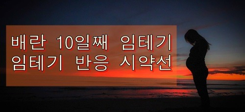 배란 10일째 임테기 반응과 시약선 완벽정리