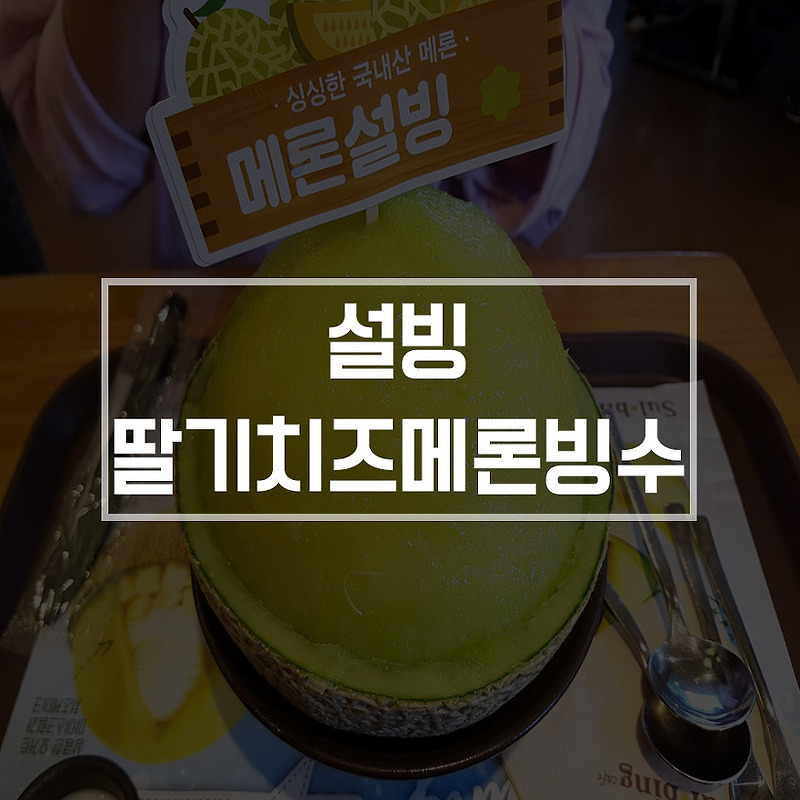 설빙 딸기치즈메론 - 메론빙수 가격과 맛 평가