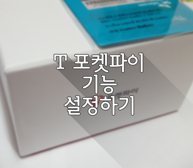 T 포켓파이 기능 설정하기