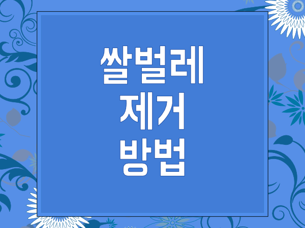 쌀벌레 제거 방법 입니다 - 쌀바구미 없애는 법