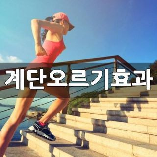 계단오르기 운동효과 & 칼로리 소모량은 얼마일까?
