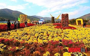 거제섬꽃축제, 거제도 가 볼만한 곳으로 떠나는 가을 꽃 축제
