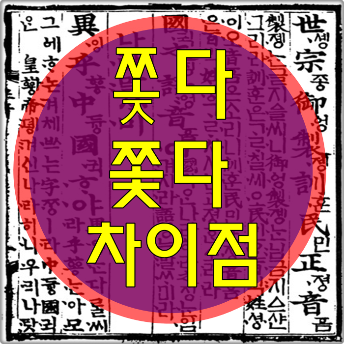 쫒다 쫓다 차이점 확실하게 구별해보자