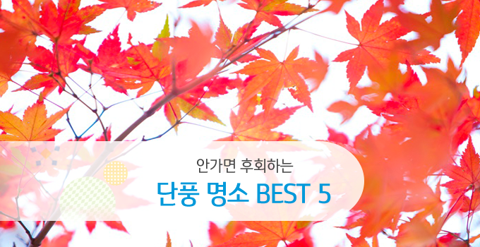 안 가면 후회하는 전국 단풍명소 Best 5