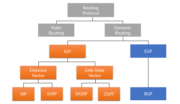 라우팅 프로토콜(Routing Protocol)