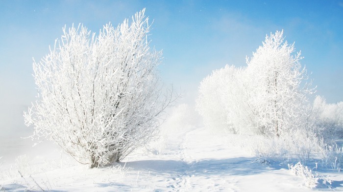 고화질 바탕화면, 눈과 겨울 (Snow&Winter Wallpaper)