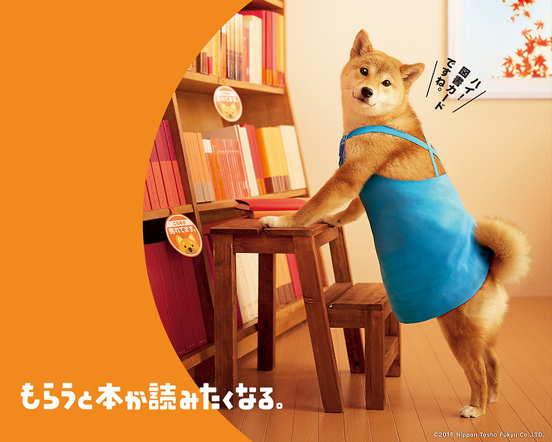 日本図書カード 限定版 柴犬図書カード