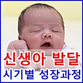 신생아 발달, 시기별 발달과정은?