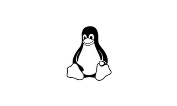 [리눅스 명령어] file - 파일 종류 확인 및 정보 출력