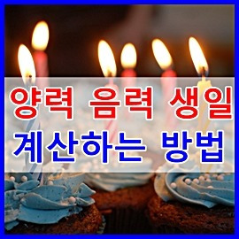 양력 음력 생일 계산하는 방법