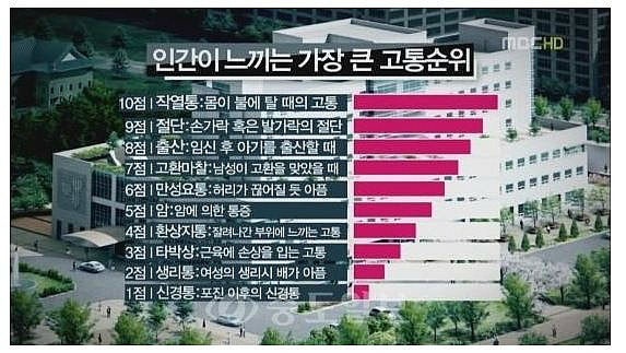 인간이 느끼는 가장 큰 고통순위 10가지