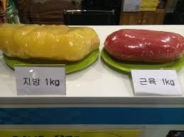 근육과 지방 1kg당 기초대사량과 부피 차이