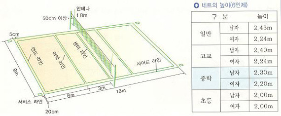 배구규칙 9인제 6인제 경기규칙 알아보기