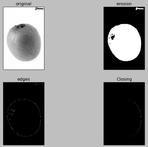 Beautiful KiWi with Python and OpenCV :: DailyBread