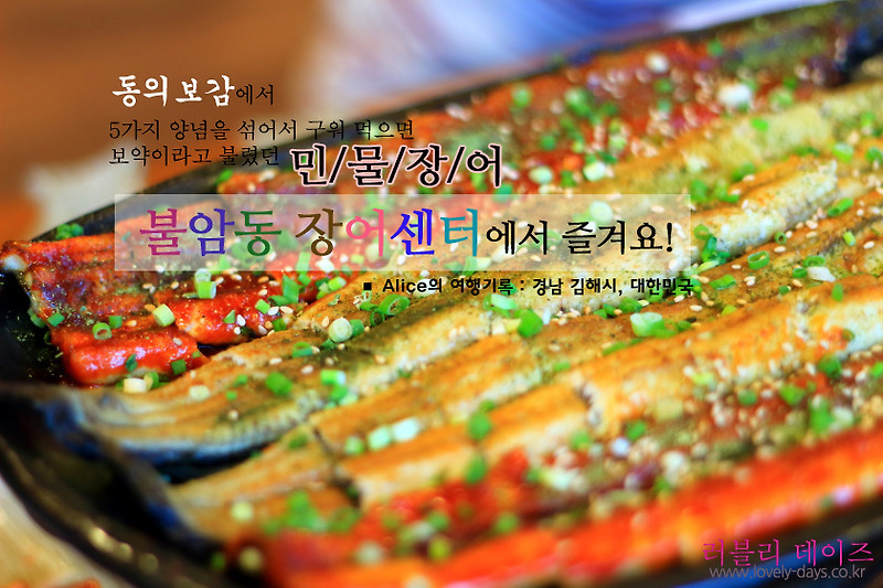 김해정보: 경남 김해 여행, 맛있는 불암동 장어센터, 솟대마을에서 장어를 즐겨요!