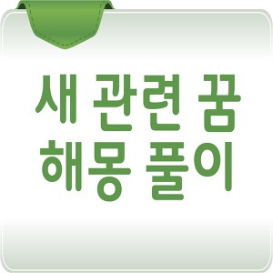 새꿈해몽*새가나오는꿈*새똥맞는꿈*새똥꿈 해몽풀이 - 튤립