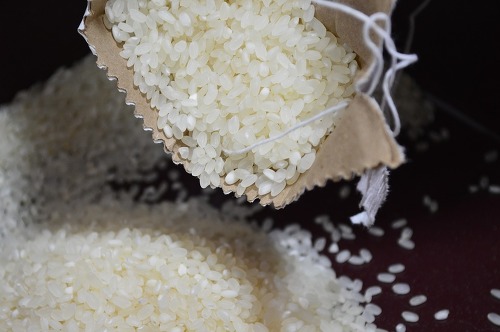 쌀 보관방법 및 유통기한 완벽정리