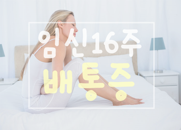 임신16주 배통증에 대해 알아봐요 ! ⊙체리쉬엄마⊙