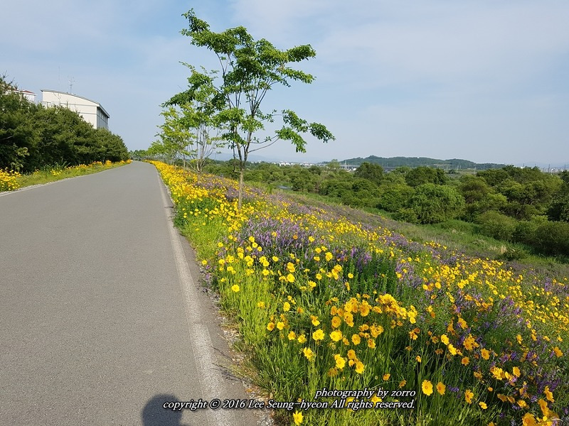 자전거 코스 볼 수 있는