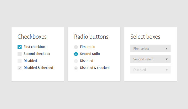 Custom Checkboxes, Radio Buttons And Select Boxes - 체크박스,라디오버튼 ,선택박스