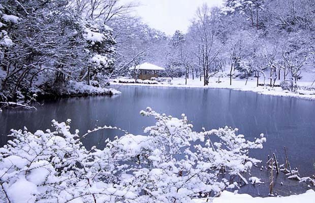 겨울시모음,겨울 짧은시,겨울에 어울리는 시,겨울시