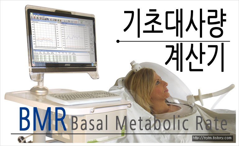 기초대사량 계산기 기초대사량(BMR)이란 - 미리니름, 정보의 미리니름을 실현하자