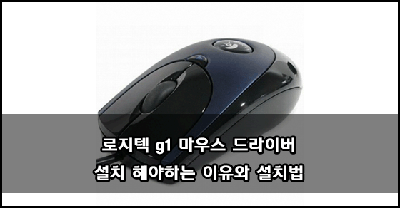 로지텍 g1 마우스 드라이버 설치해야하는 이유와 설치방법 :: 사람은 의문을 가져야 성장한다