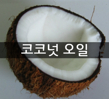 코코넛 오일 효능과 사용방법, 먹는방법, 코코넛오일 다이어트 | 효능백과