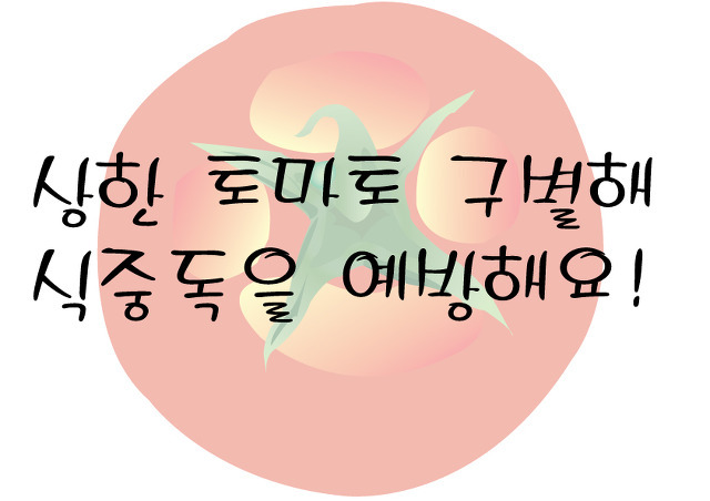 서정키박사 이야기 :: 토마토 상하지 않게 보관하는 법, 상한 토마토 구별법