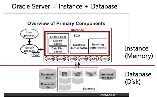 System oracle что там хранится