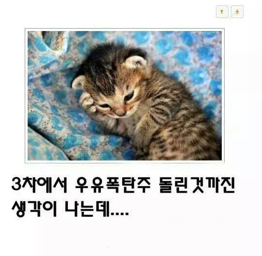 고양이 제목학원 ㅋㅋㅋㅋㅋㅋㅋㅋㅋㅋㅋㅋㅋㅋㅋ