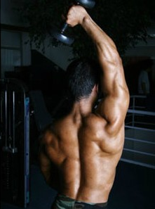 스탠딩 원 암 오버헤드 트라이셉스 익스텐션(Standing One Arm Overhead Triceps Extensions) :: 열정적으로 행동하자!!