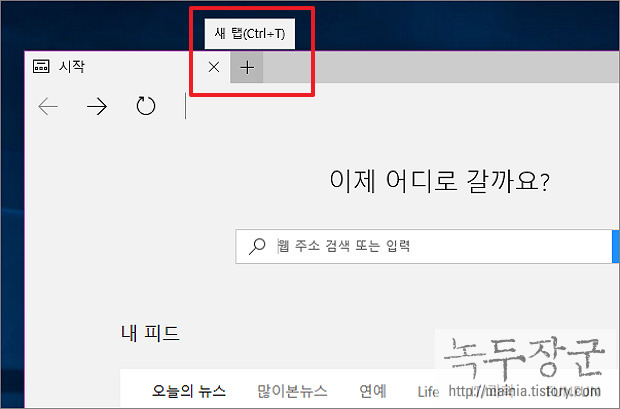  윈도우10 엣지(Edge) 탭 기본 사용법