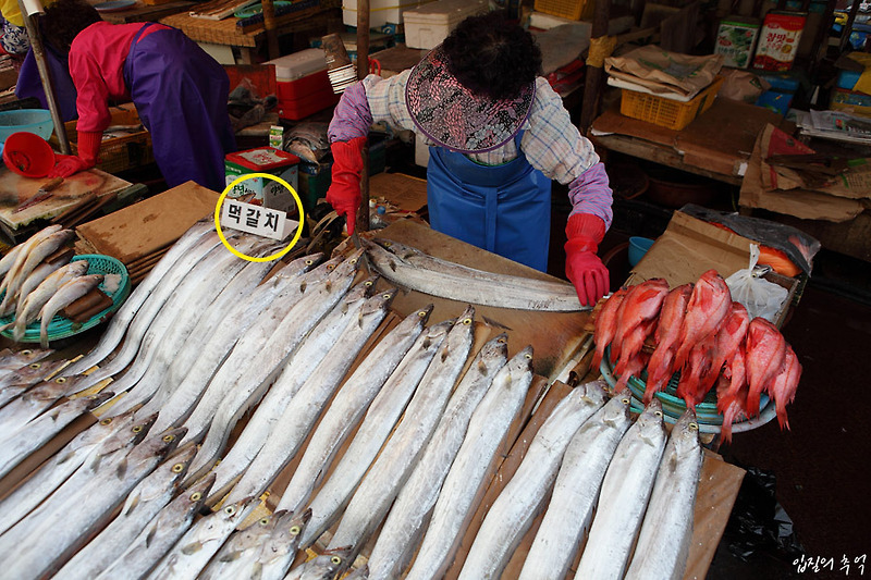 입질의 추억 :: 소비자 기만하는 수산시장(자갈치시장)의 상술과 편법