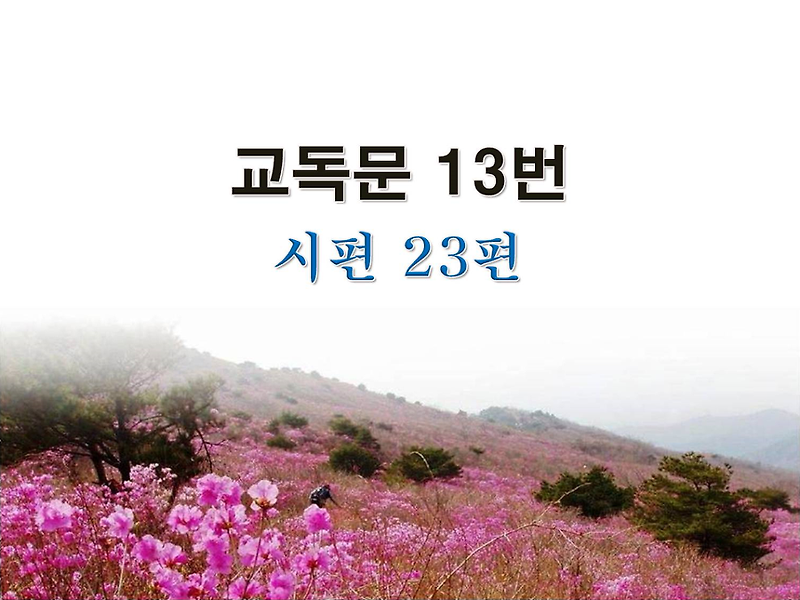 새교독문 13번 PPT / 시편 23편