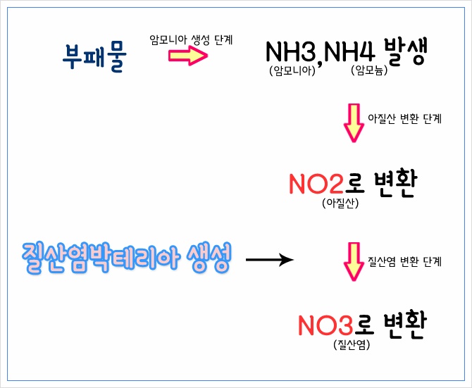 어항 입문자를 위한 물잡이 과정과 방법, 해야하는 이유