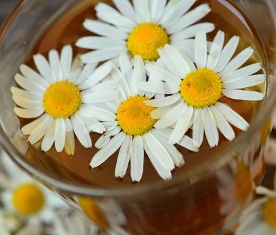 캐모마일차 효능 chamomile