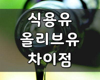 식용유와 올리브유 차이점 - 식용유 대신 올리브유 써도 될까? - 슬로우인포