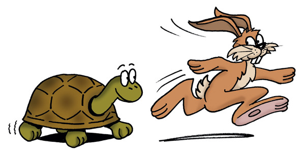 영어 표현] Hare And Tortoise 