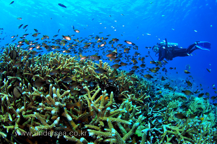 UW Cebu, Philippines