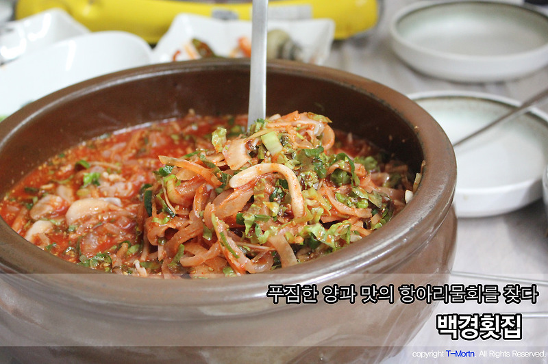 [영덕 맛집] 영덕 여행지 맛집, 백경횟집
