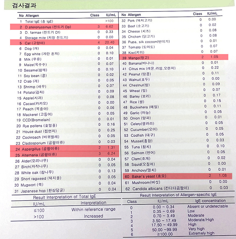 MAST 검사 62가지 항목(Multiple Allergen Simultaneous Test)