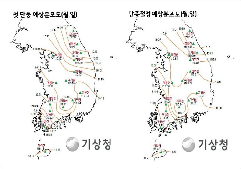 기상청발표, 2013년 단풍예보